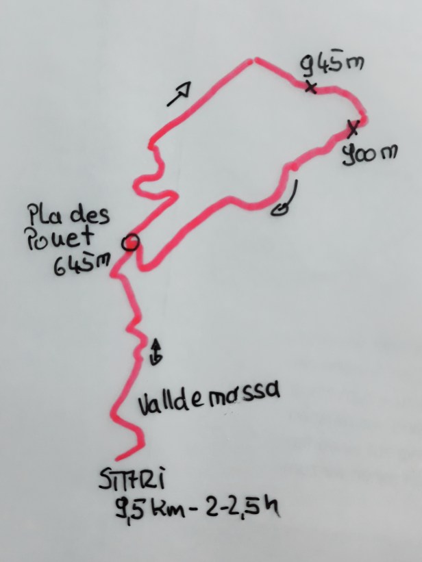 Buchtipp Mallorca (3)