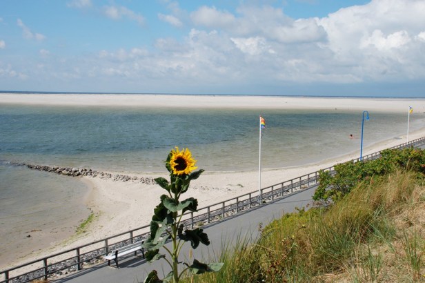 Bild 4wittdün_wandelbahn_sonnenbl