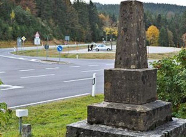 Feldberg Lauf (3)