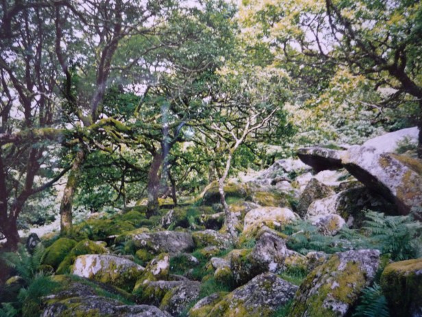 Buch Secret Places (3)