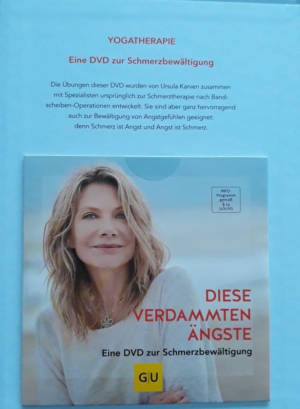 Buch Ängste (1)