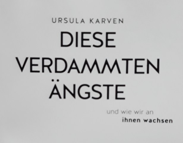 Buch Ängste (2)