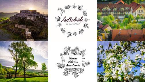 Business Natur Coach