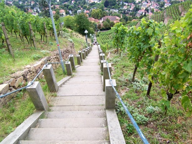 Extrem Laufen (14)