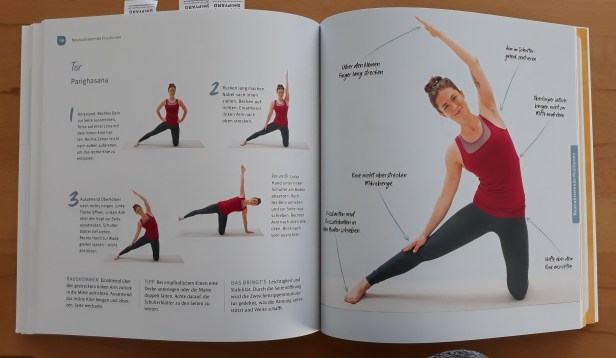 Buchtipp Yogabuch (3)