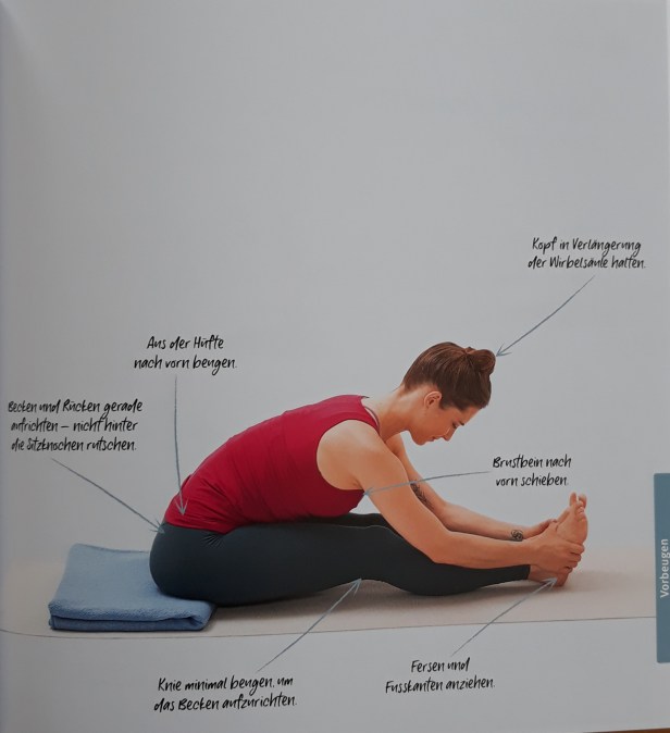 Buchtipp Yogabuch (4)